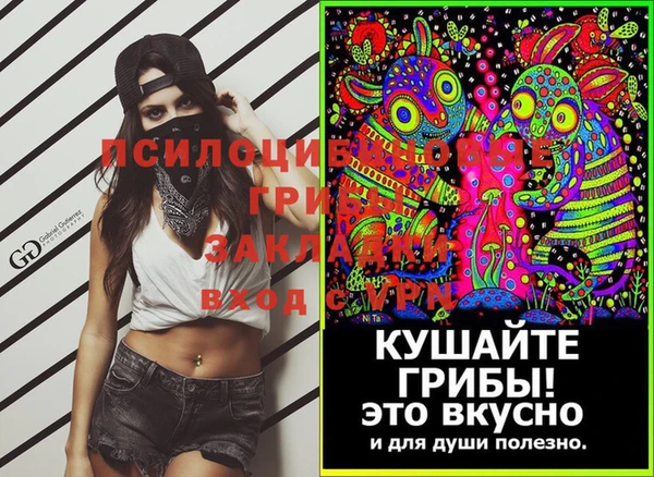 марки lsd Ельня