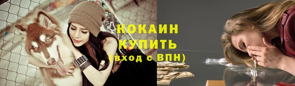 марки lsd Ельня