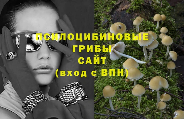 марки lsd Ельня