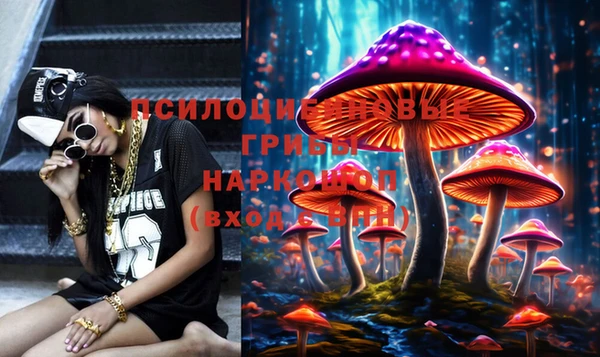 марки lsd Ельня